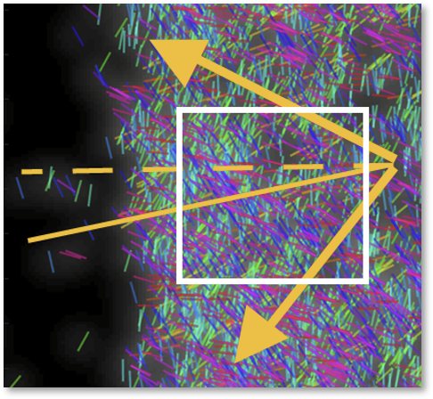 Microscopy research image 3