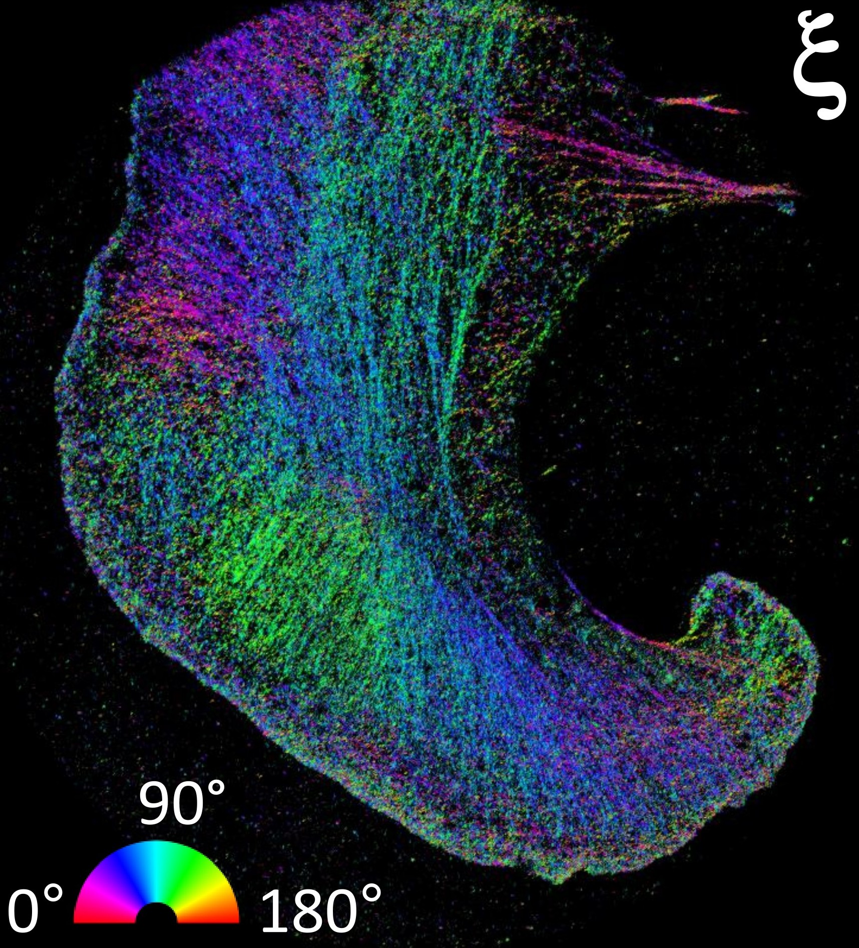 Microscopy research image 4